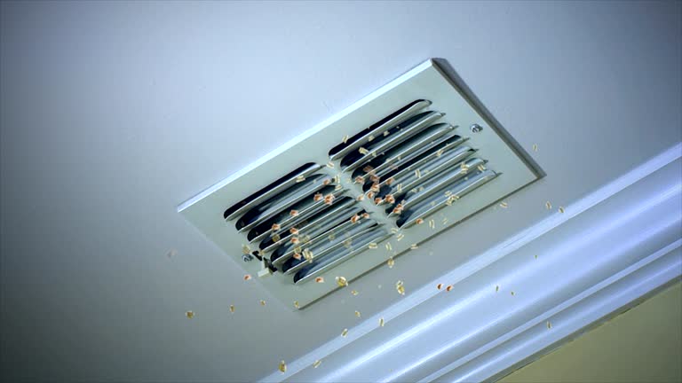 Best Affordable Air Duct Cleaning  in Rome, IL
