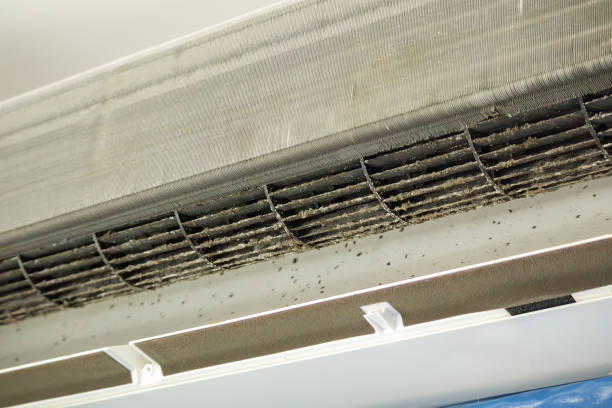 Best Air Duct Cleaning Near Me  in Rome, IL